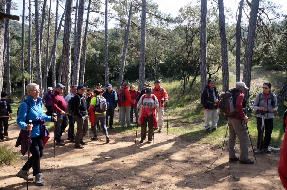 10341556_982044505164150_8749842787314356600_n