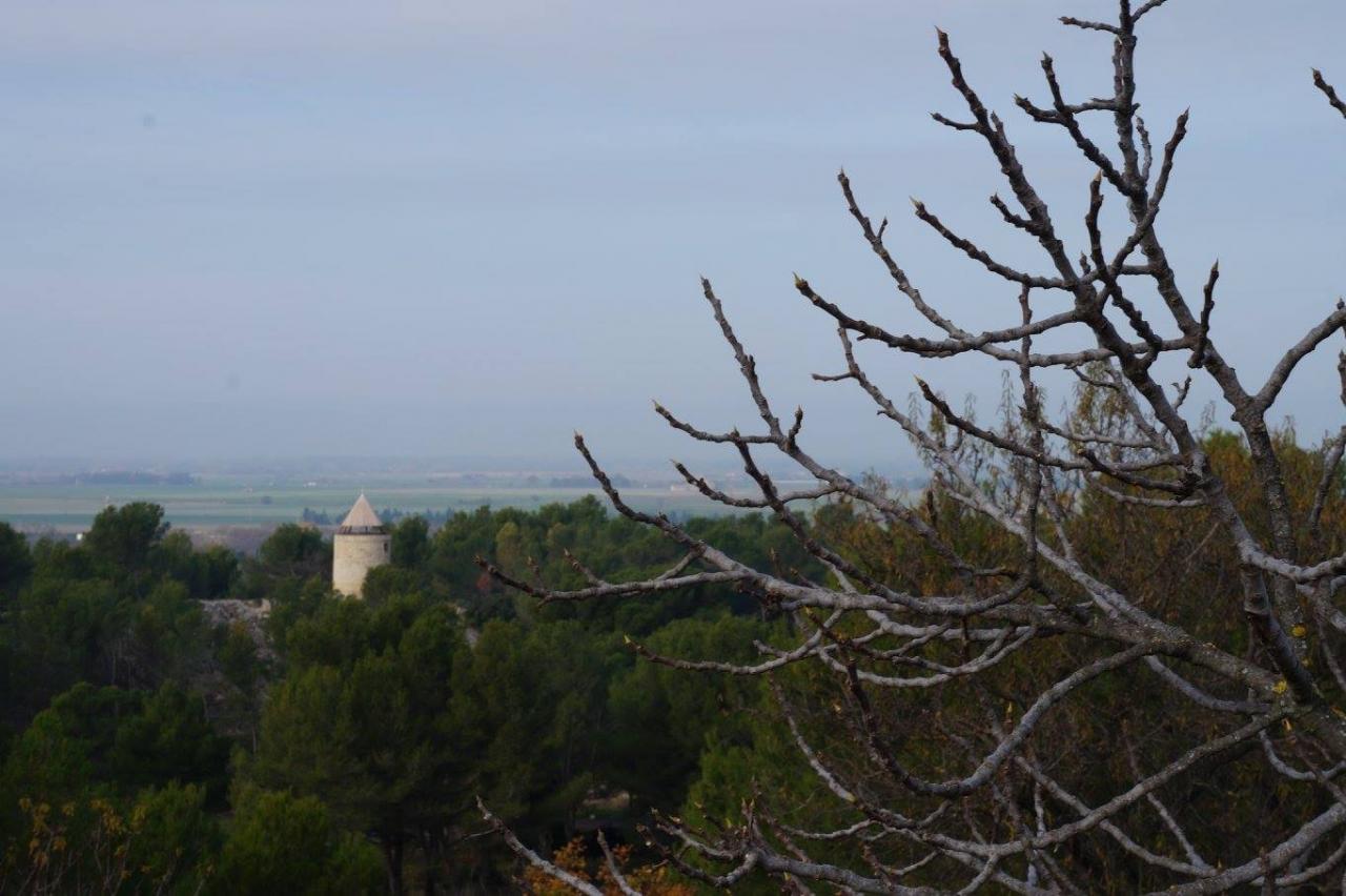 12232857_925342567501011_3926583462162708314_o