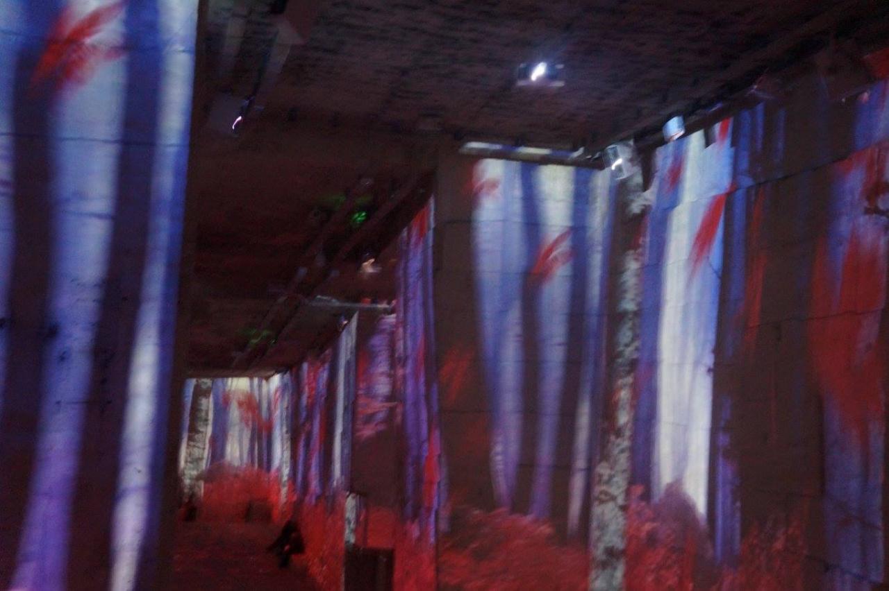 12238478_925344354167499_6661078607285316260_o