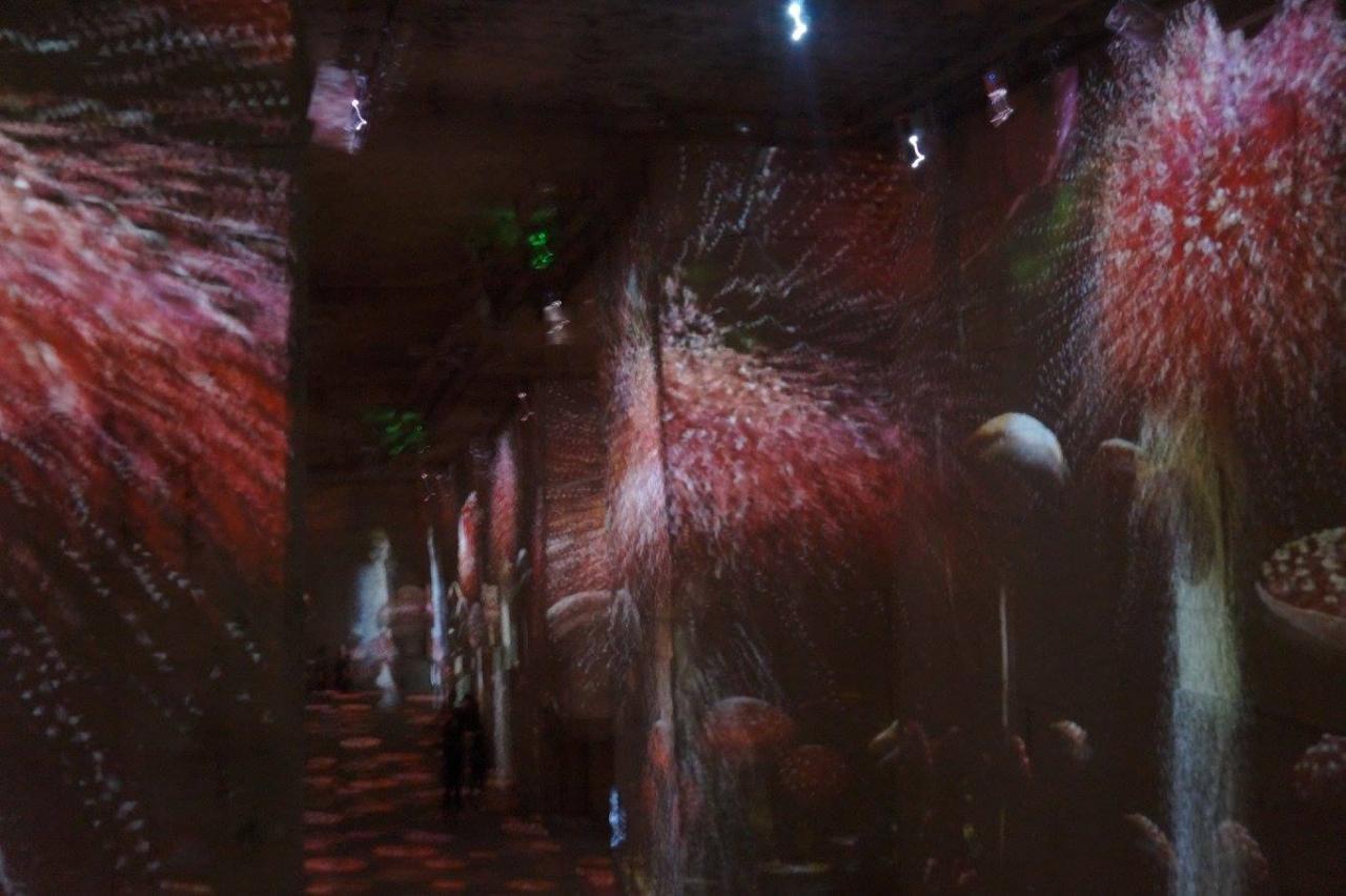 12241096_925344377500830_3333557098942903536_o