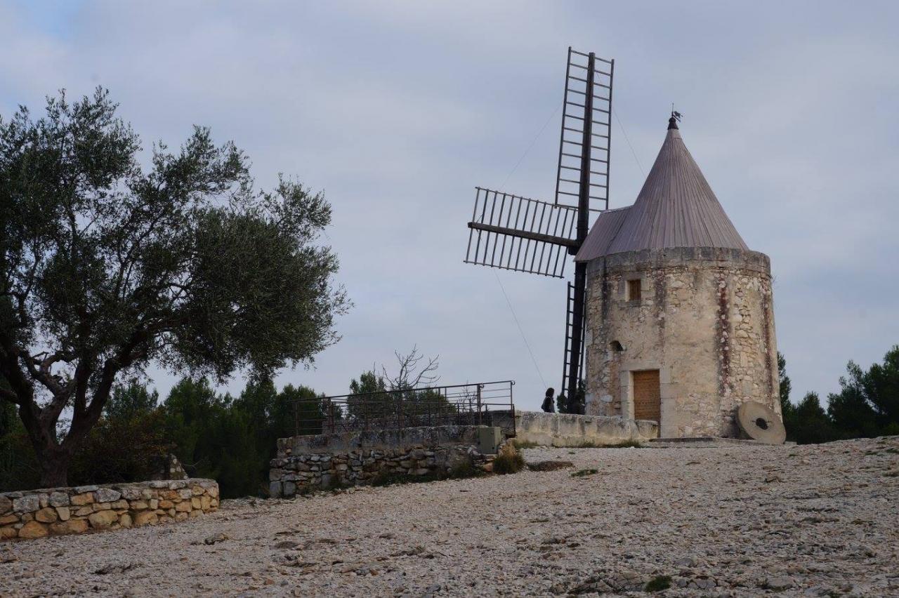 12244844_925342724167662_2414961146178777083_o