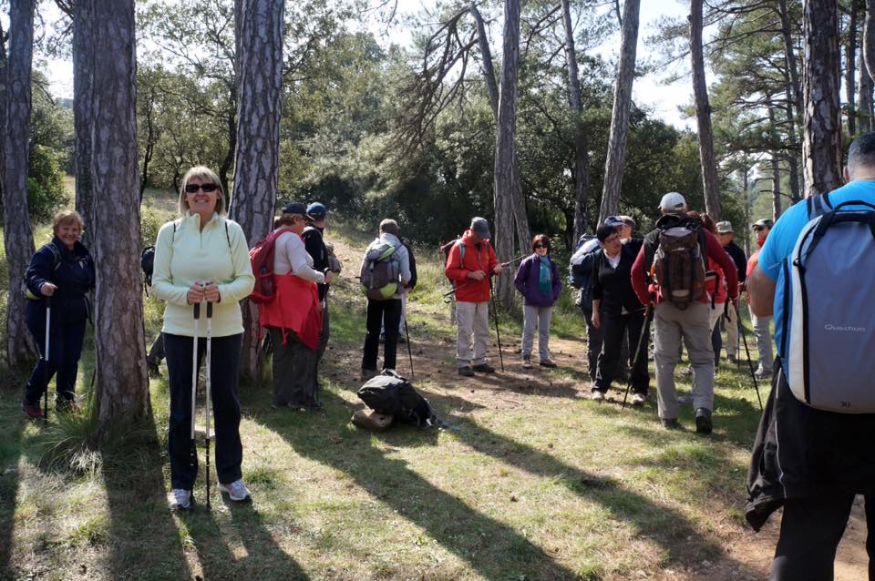 12250106_982044588497475_2888858791932362866_n