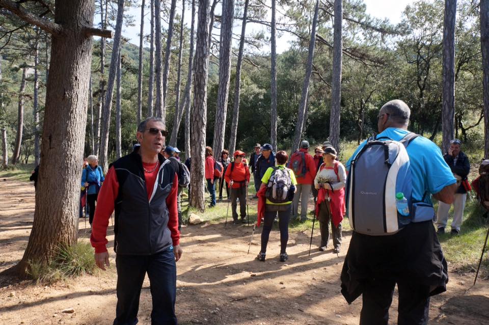 12814331_982044645164136_1377592169499995878_n