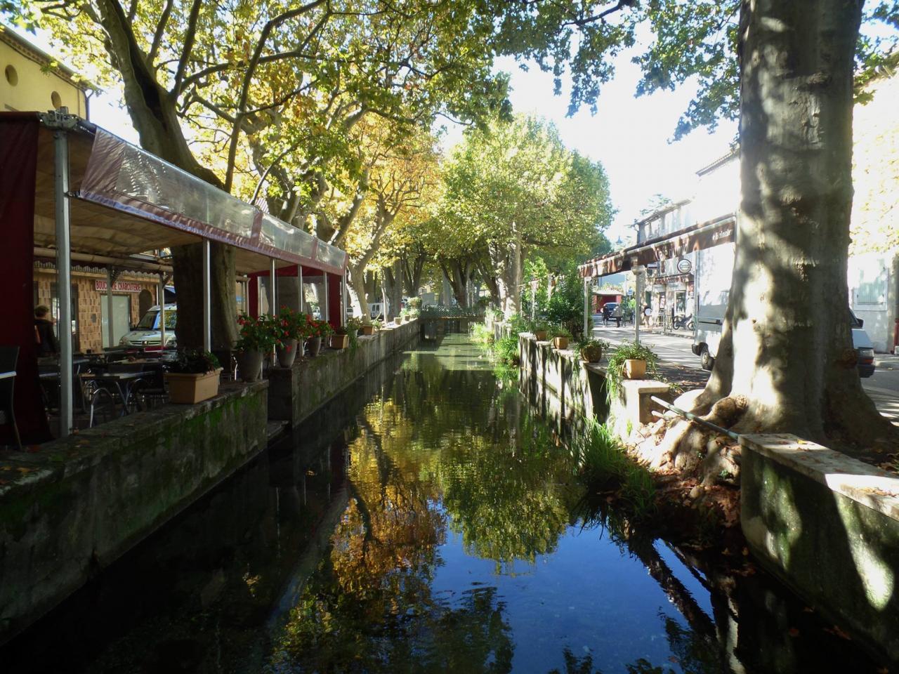 14753237_1125562297479036_7664873222033506969_o