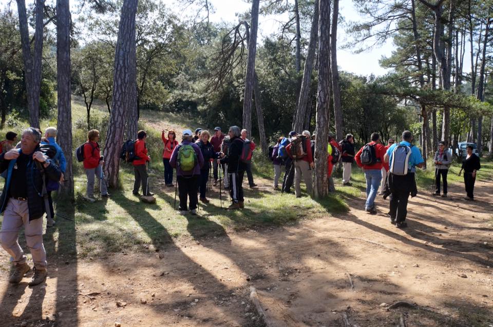 1916313_982044565164144_3764152627565872419_n