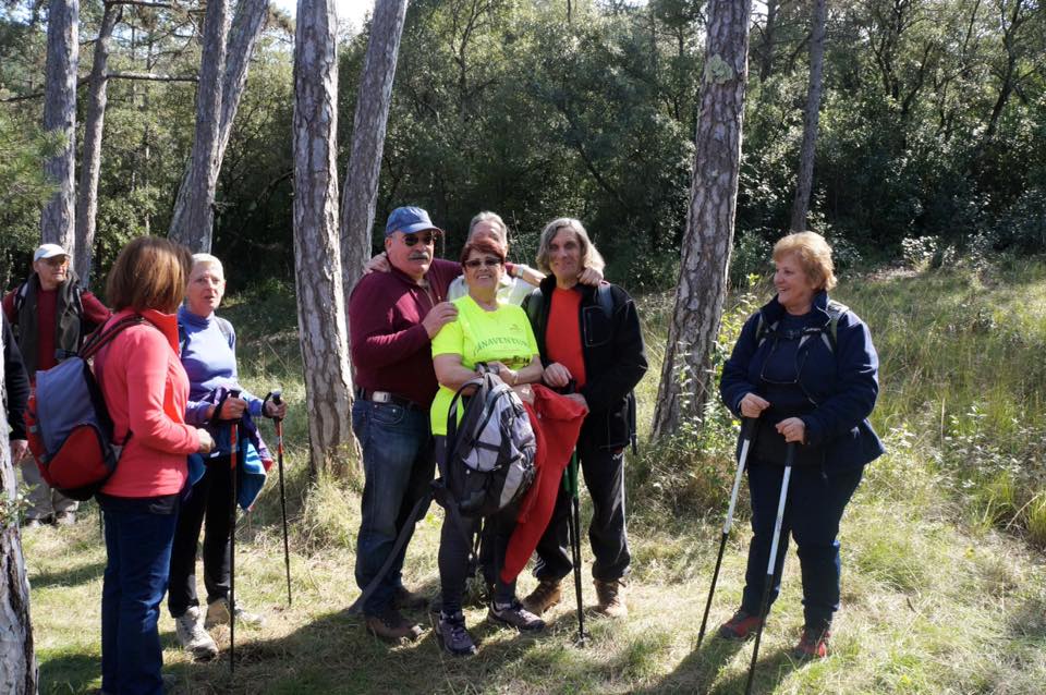 1933855_982044605164140_6339719536341693729_n