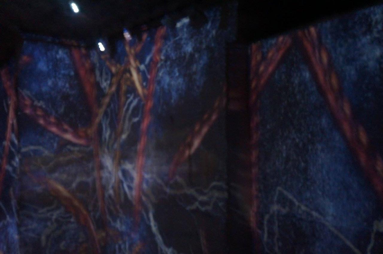 1980194_925344340834167_5892337293075693961_o