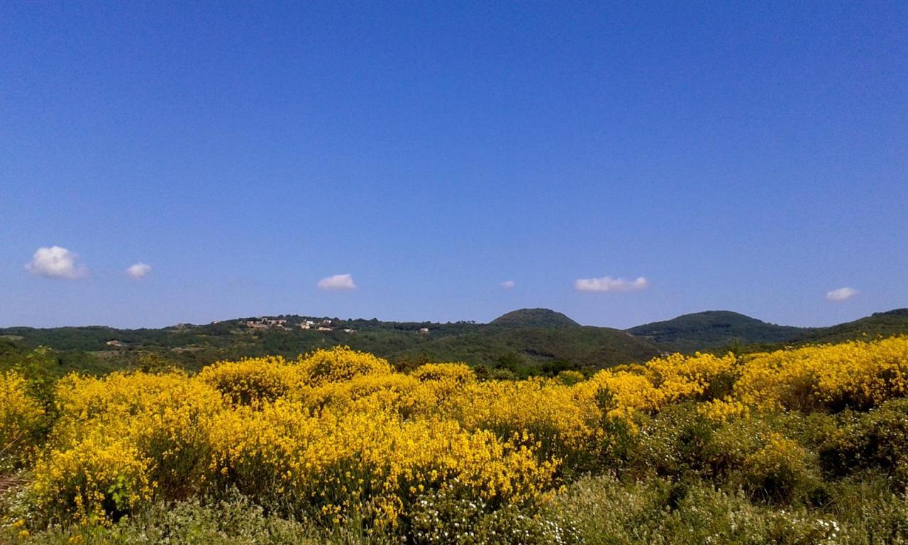 20150602_journée_marcheurs (6)