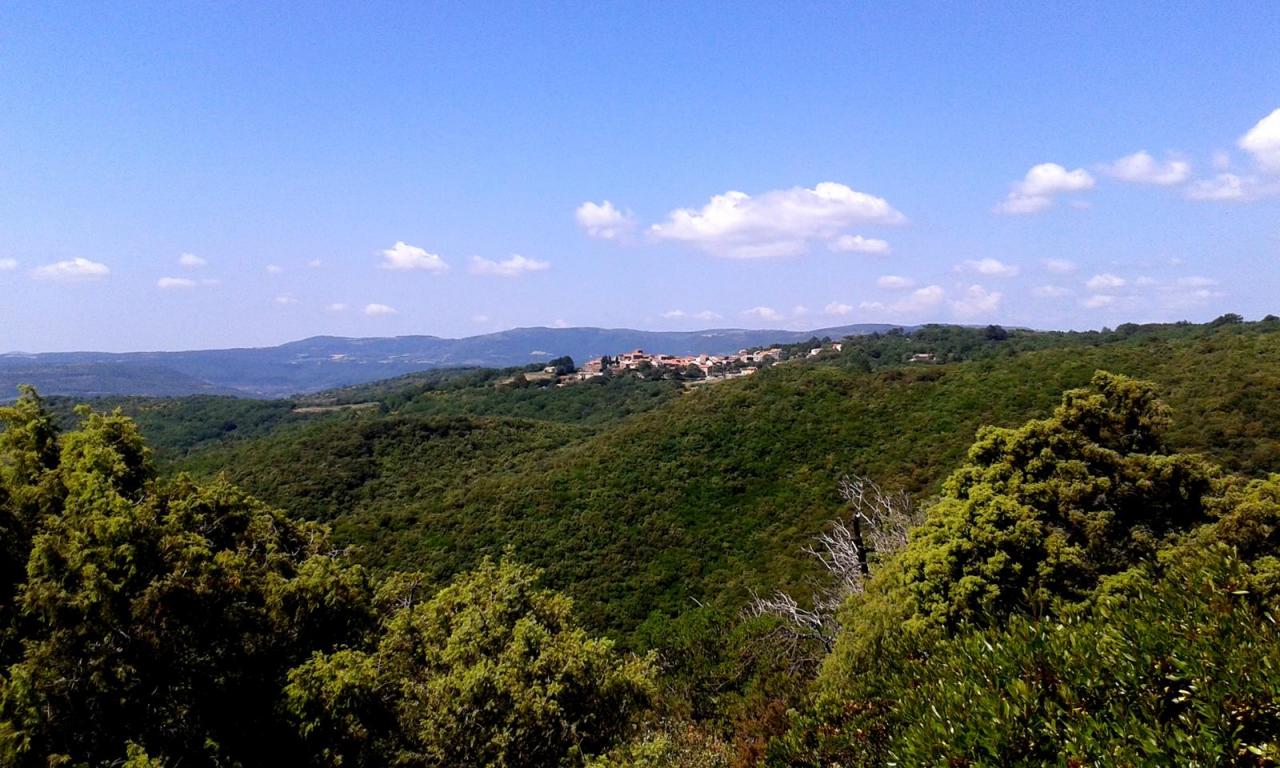 20150602_journée_marcheurs (7)