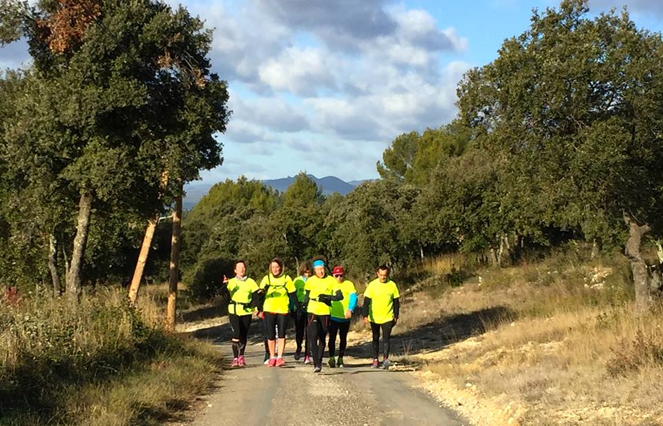 24993527_1526566157378646_571012730643619396_n