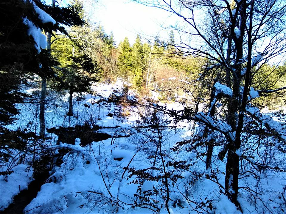 27459022_1576980295670565_4478460194877883182_n