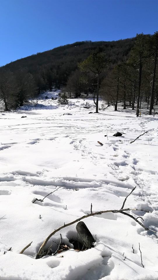 27540827_1576980112337250_5580936034834613099_n