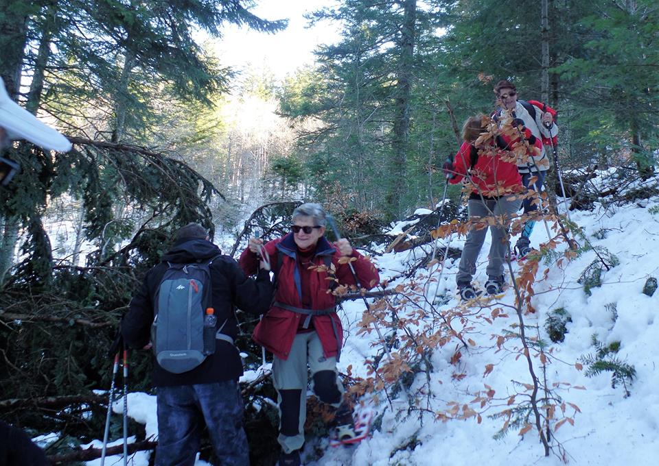 27544833_1576978072337454_1860289857591199831_n