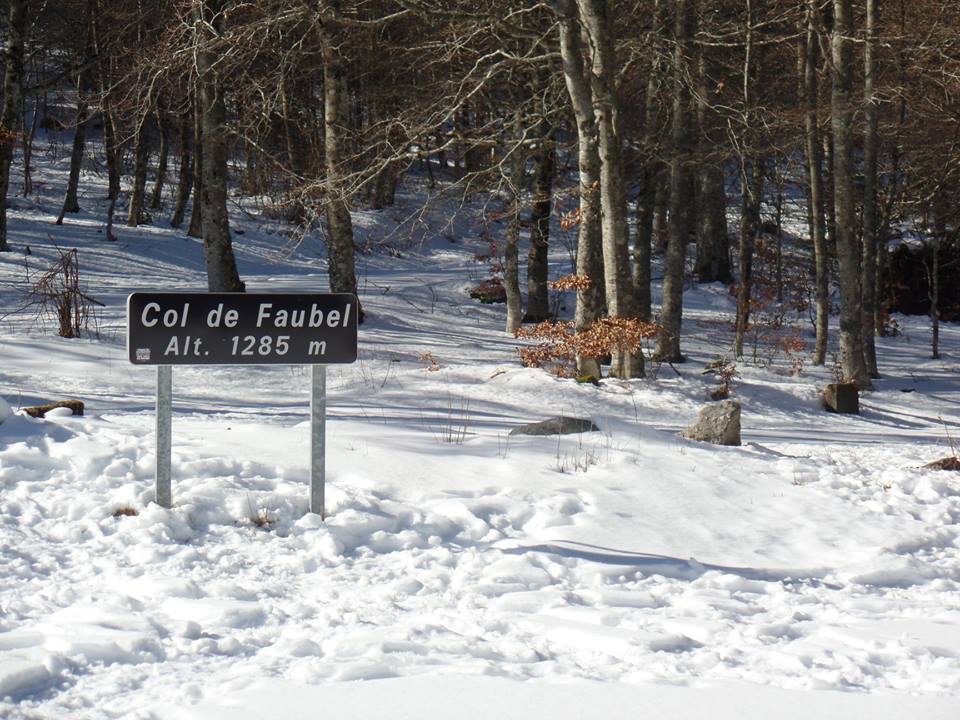 27545211_1576978689004059_690356293003284802_n