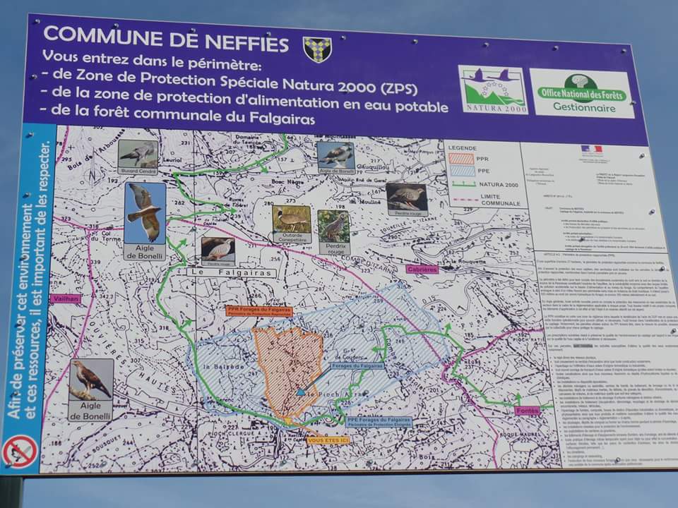 FB_IMG_1462436654576