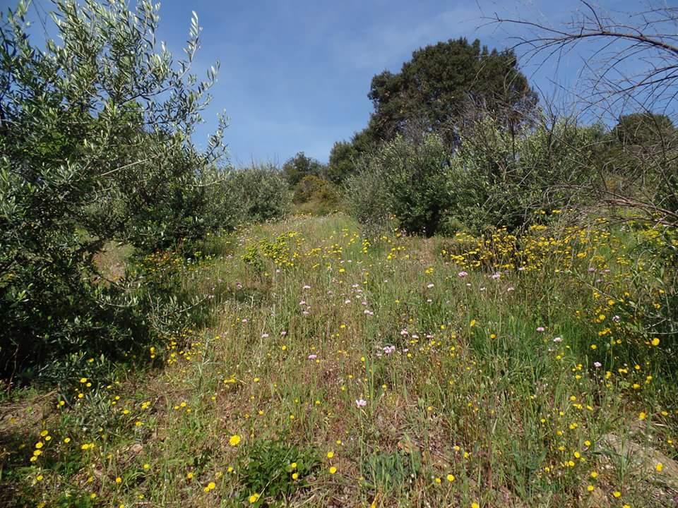 FB_IMG_1462436665843