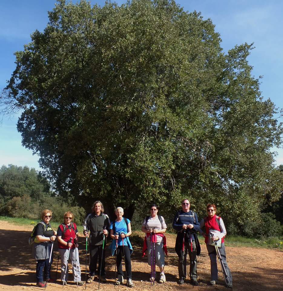 FB_IMG_1462436670780