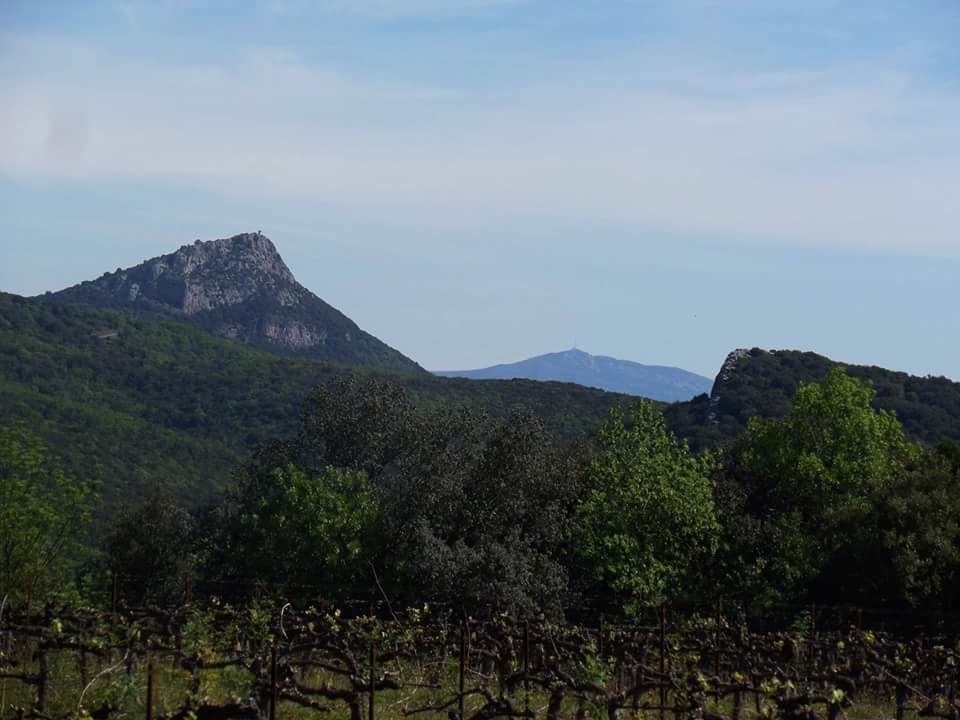 FB_IMG_1462436674631