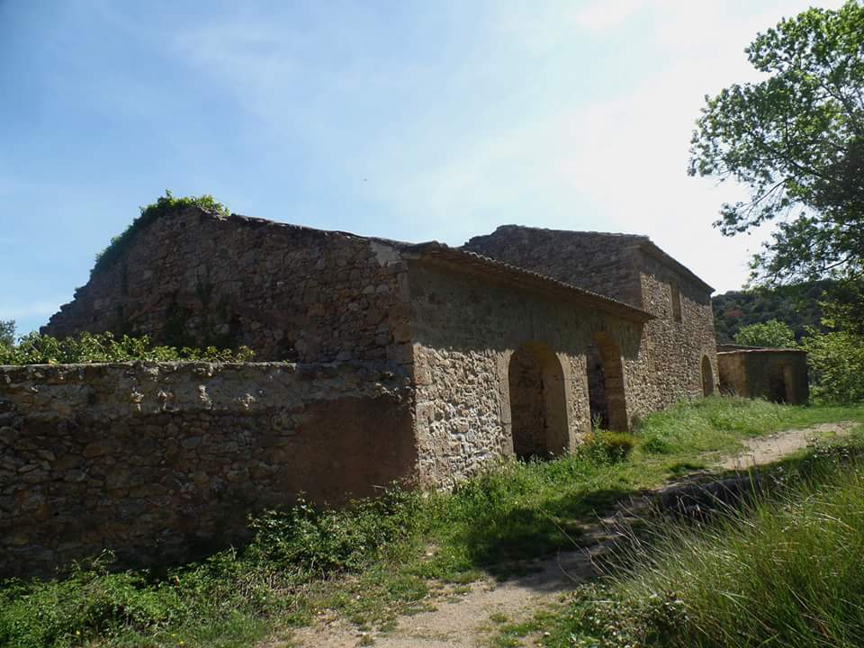 FB_IMG_1462436688258