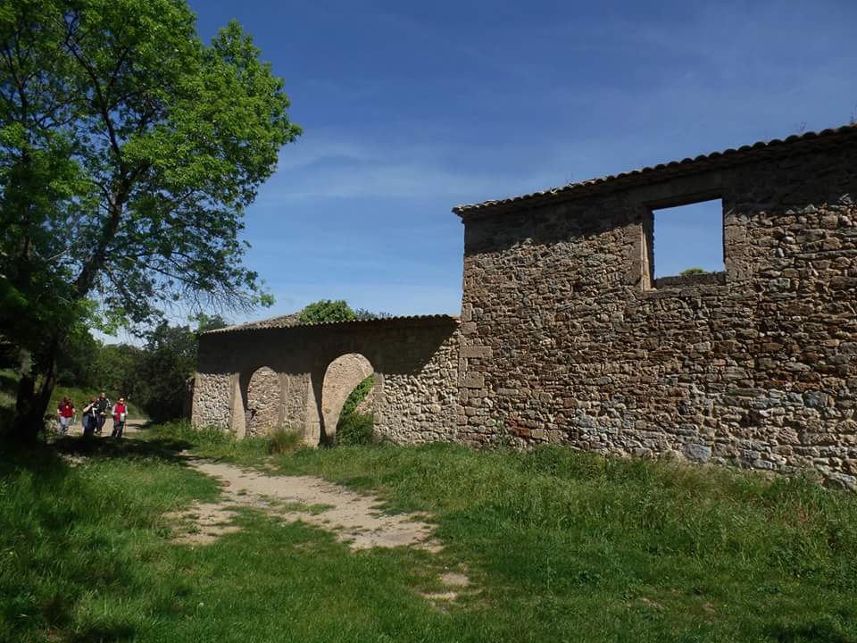 FB_IMG_1462436695240