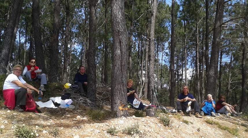 FB_IMG_1462436717694