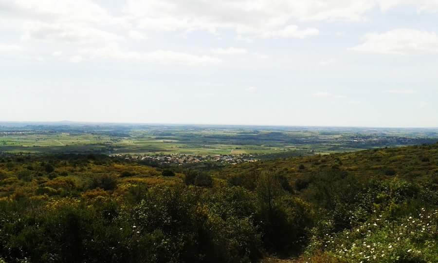 FB_IMG_1462436722003