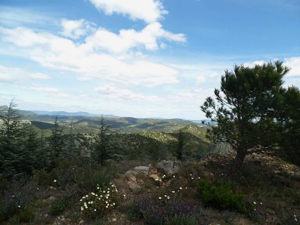 FB_IMG_1462436725234