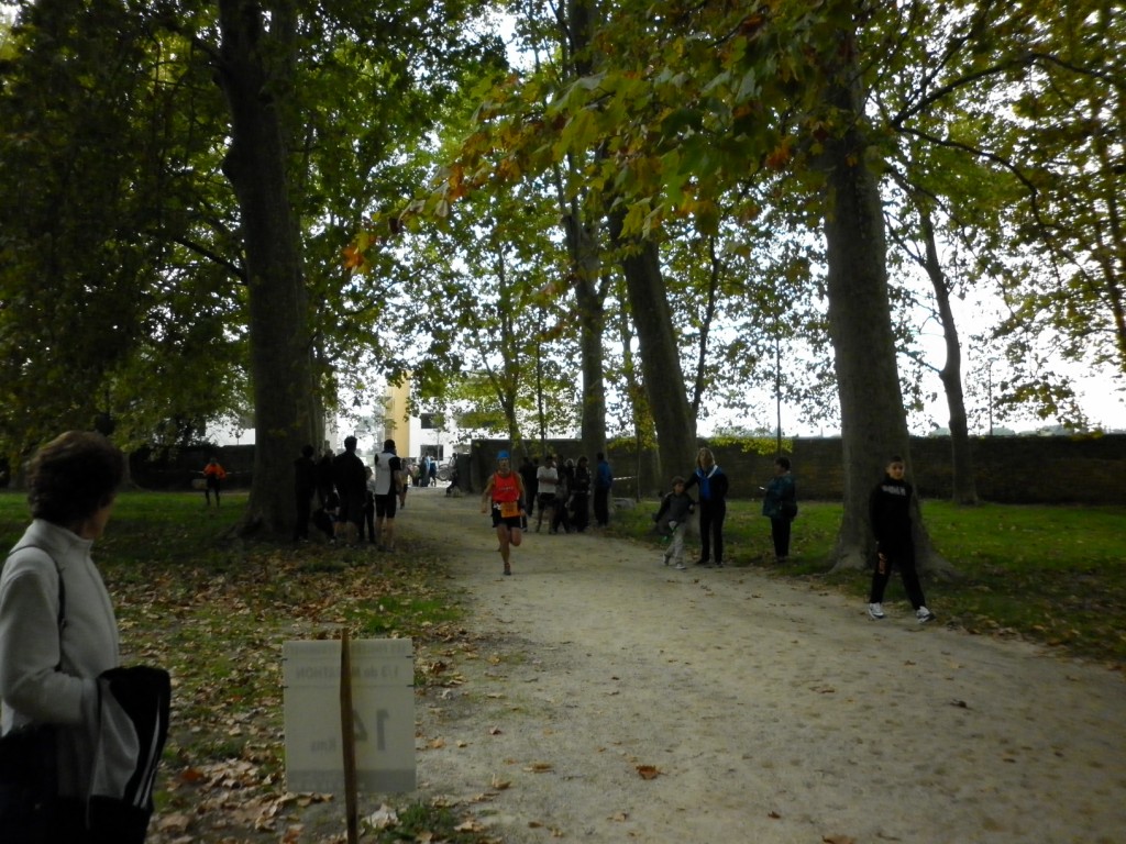 Laverune_2014 (12) [1024x768]