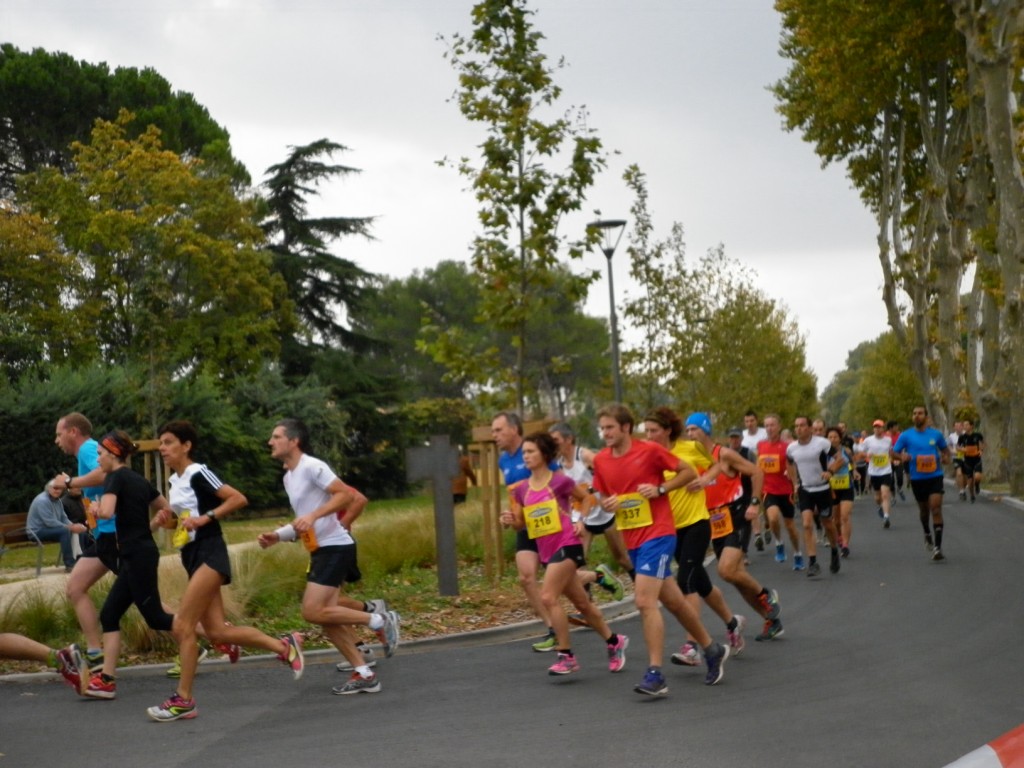 Laverune_2014 (2) [1024x768]