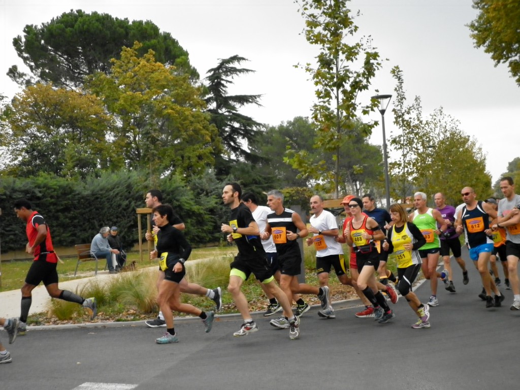 Laverune_2014 (3) [1024x768]