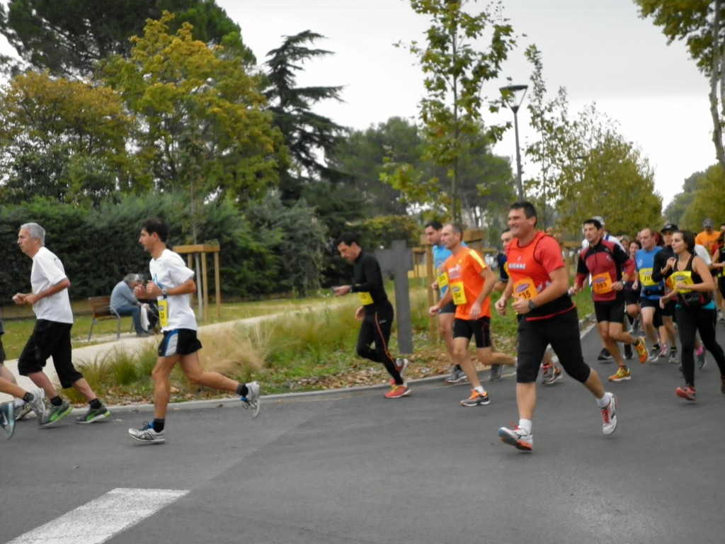 Laverune_2014 (4) [1024x768]