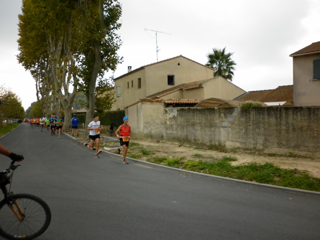 Laverune_2014 (5) [1024x768]