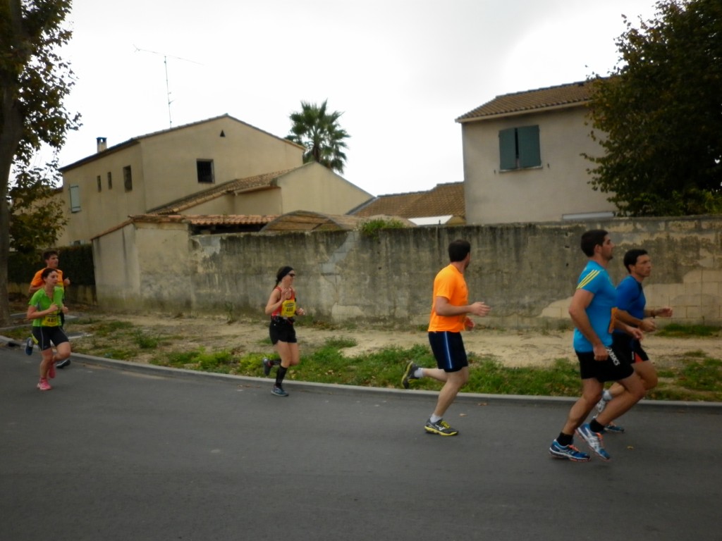 Laverune_2014 (6) [1024x768]