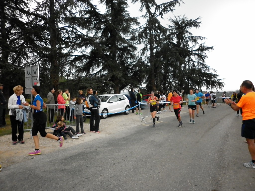 Laverune_2014 (8) [1024x768]