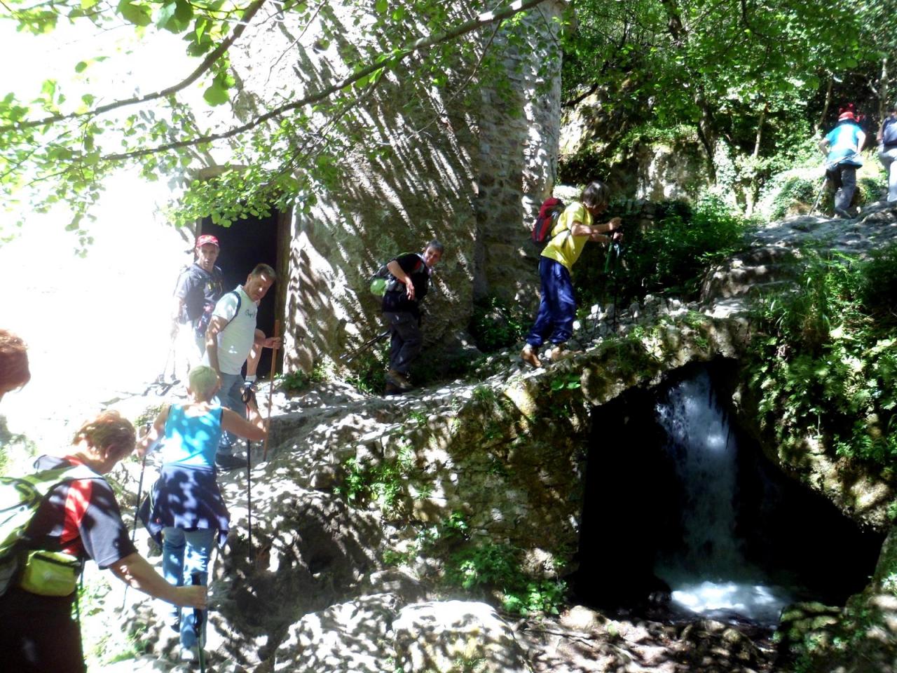 Resurgence de la Foux juin 2014 (10)