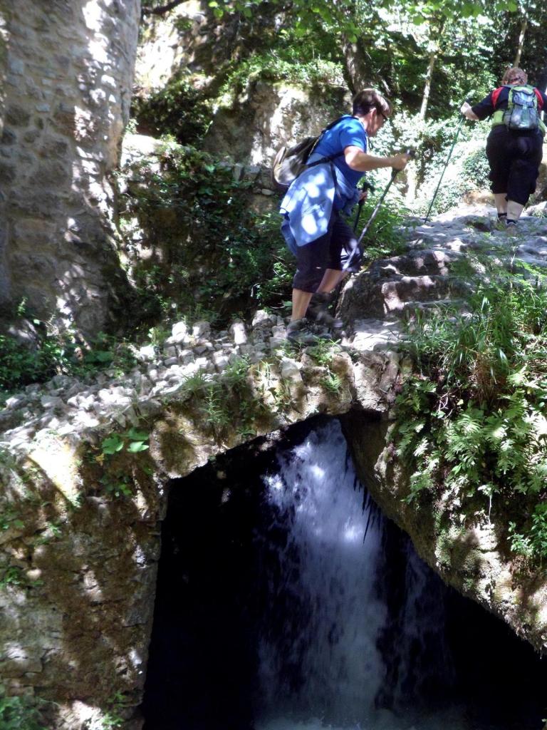 Resurgence de la Foux juin 2014 (11)