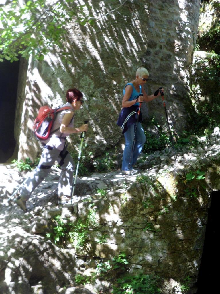 Resurgence de la Foux juin 2014 (12)