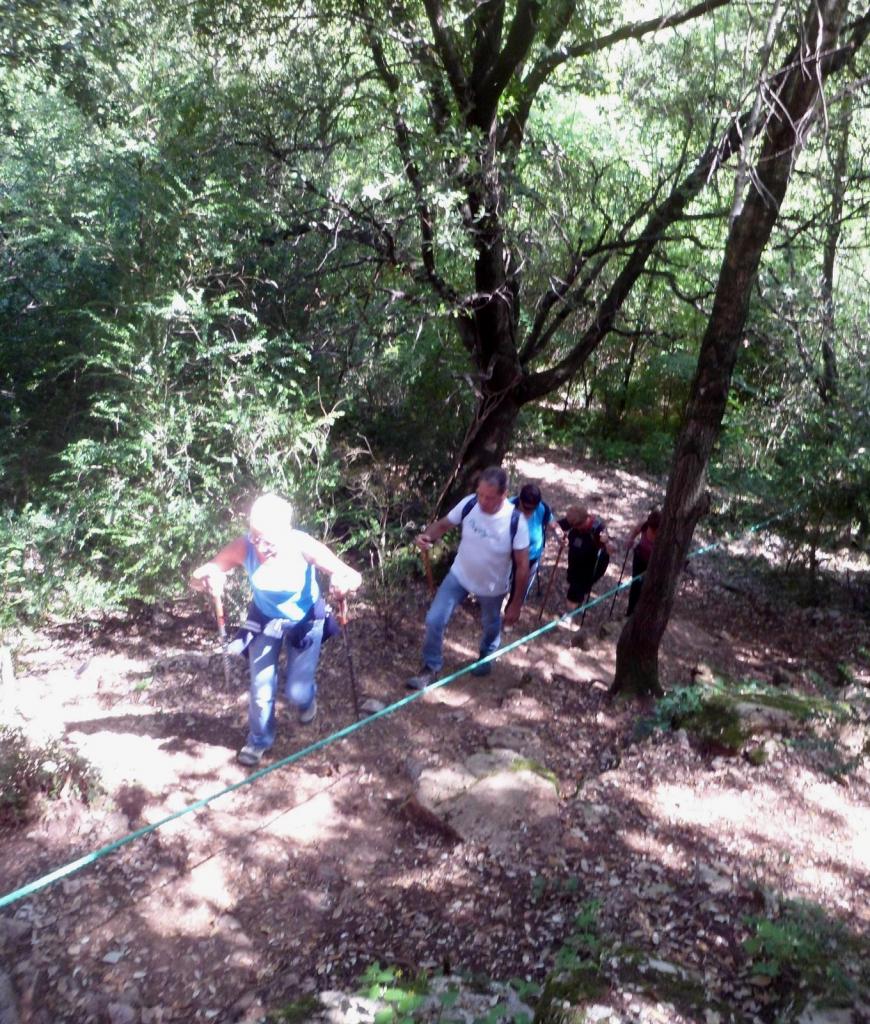 Resurgence de la Foux juin 2014 (16)