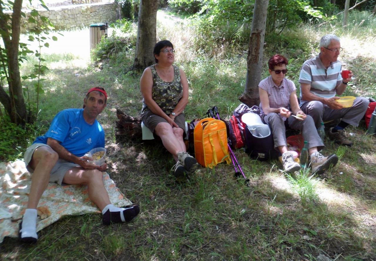 Resurgence de la Foux juin 2014 (29)