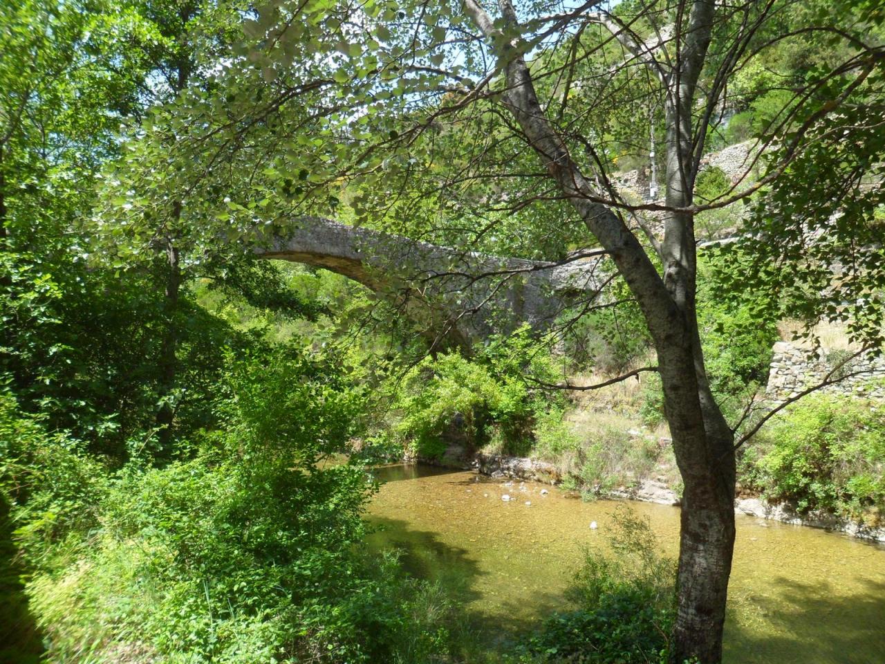 Resurgence de la Foux juin 2014 (30)