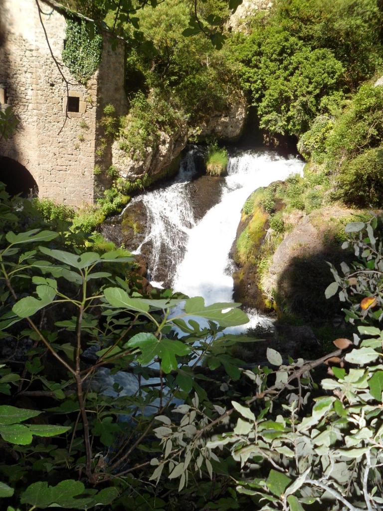 Resurgence de la Foux juin 2014 (6)