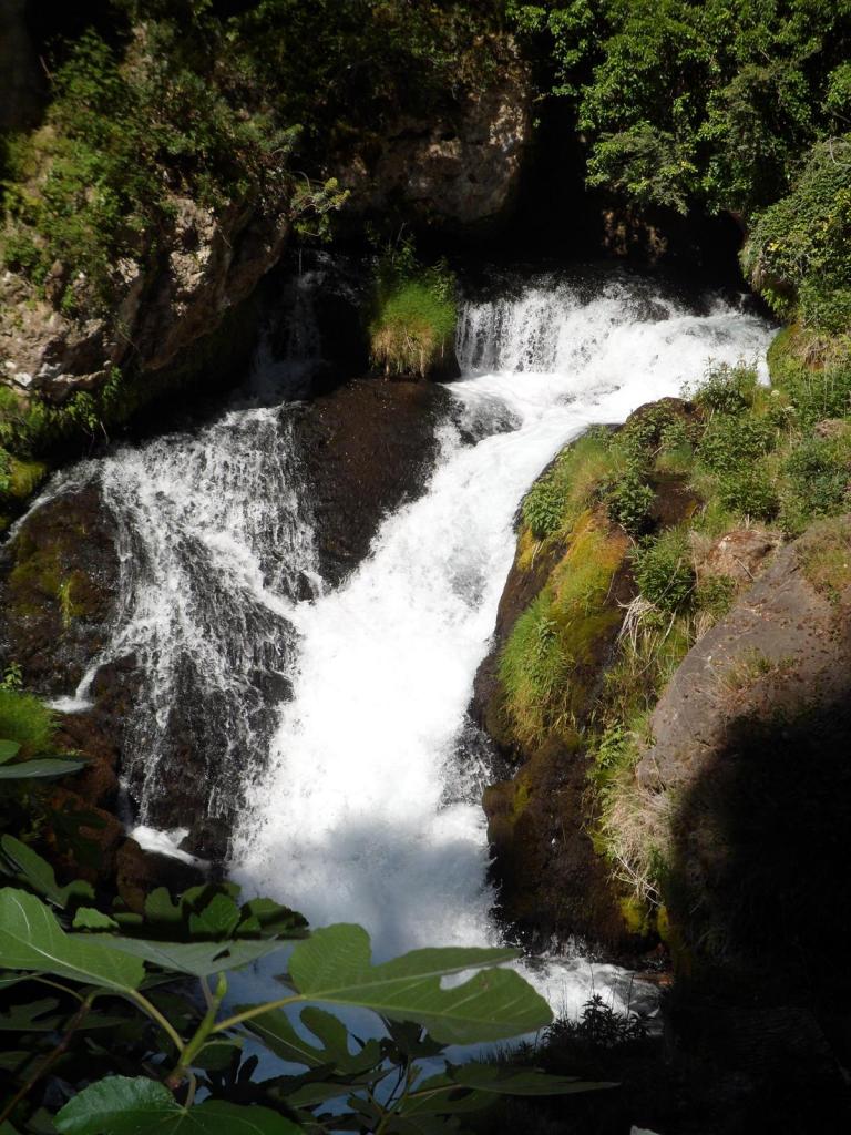Resurgence de la Foux juin 2014 (7)