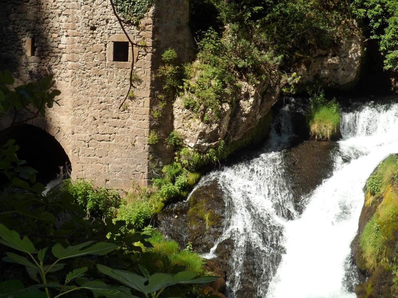 Resurgence de la Foux juin 2014 (8)