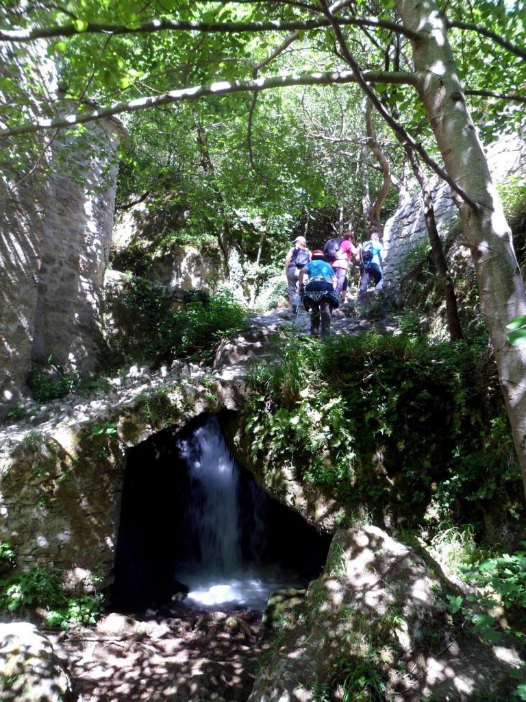 Resurgence de la Foux juin 2014 (9)